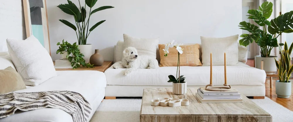 Tips for Styling an Artificial Indoor Tree to Enhance Its Realism