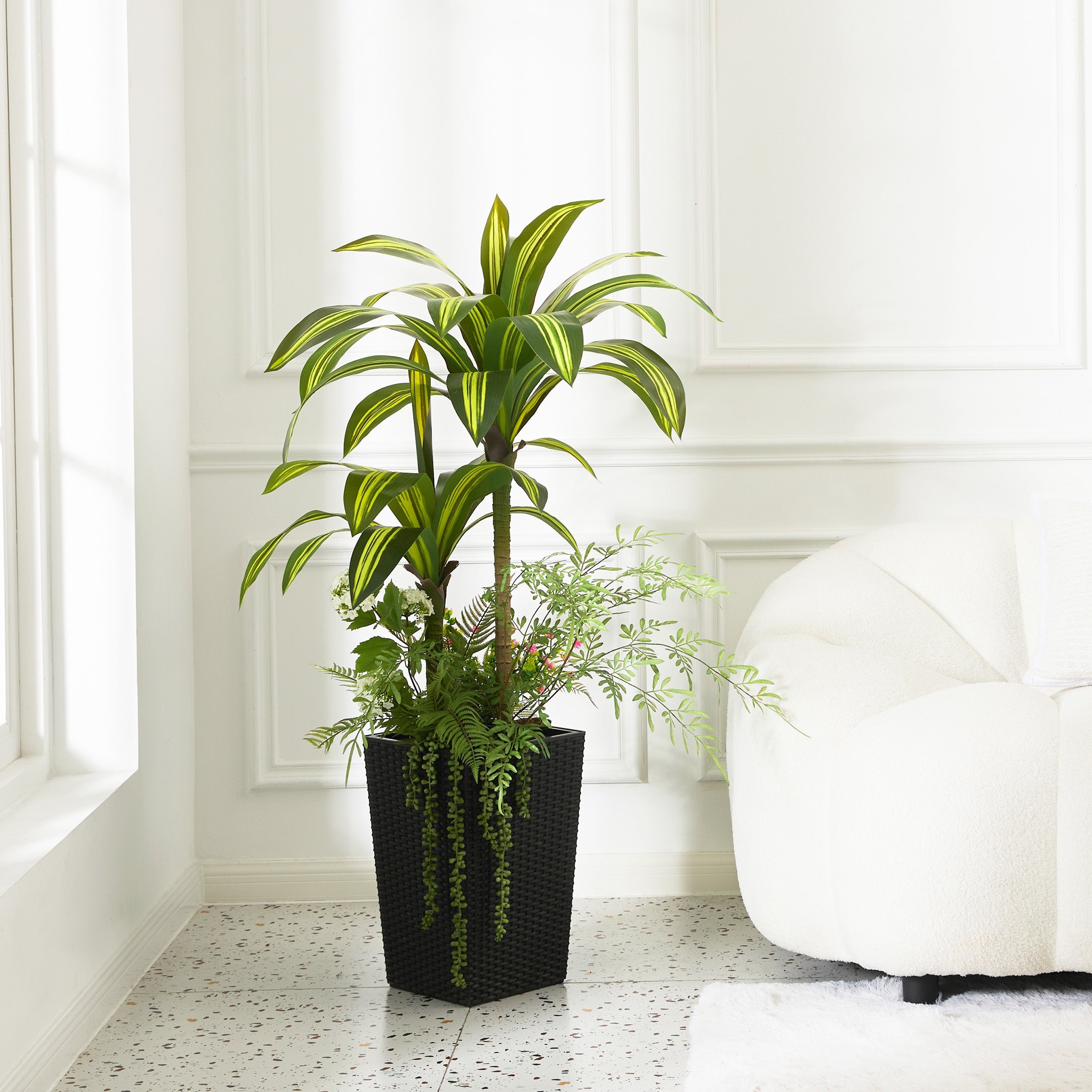 Mixed Fern and Dracaena