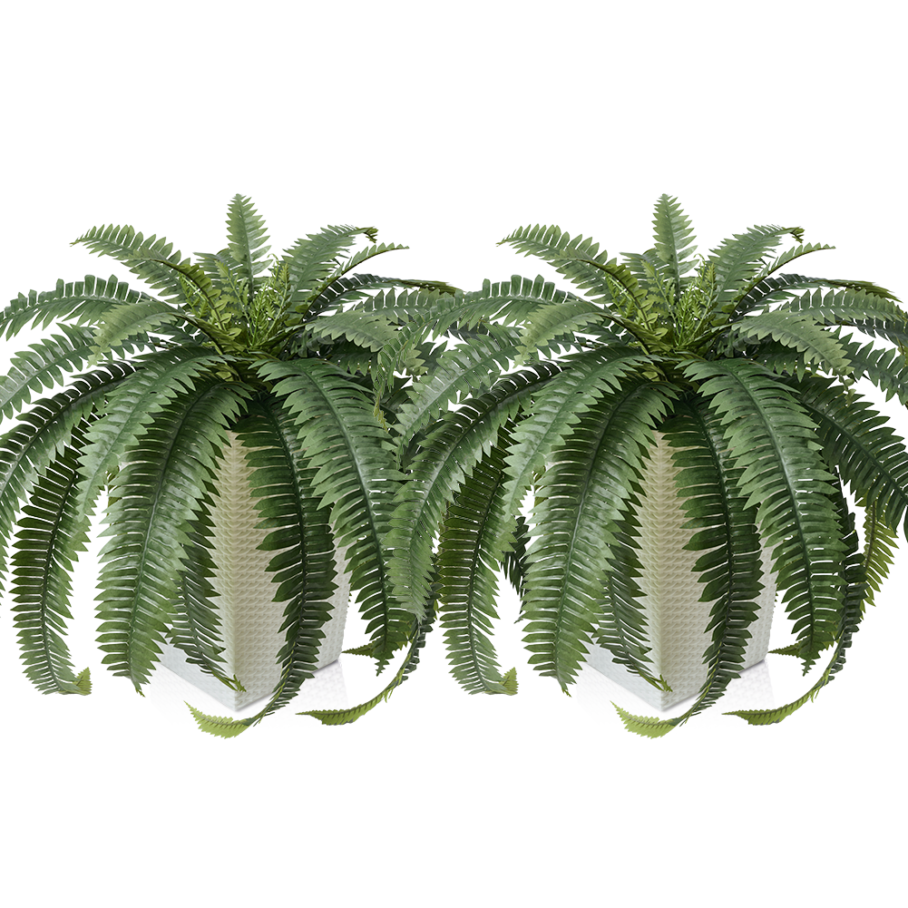 VeriNatural 33/39 Fronds Artificial Boston Fern Bush with Black Taper Planter for Indoor & Outdoor (1/2-Pack)(VN153)