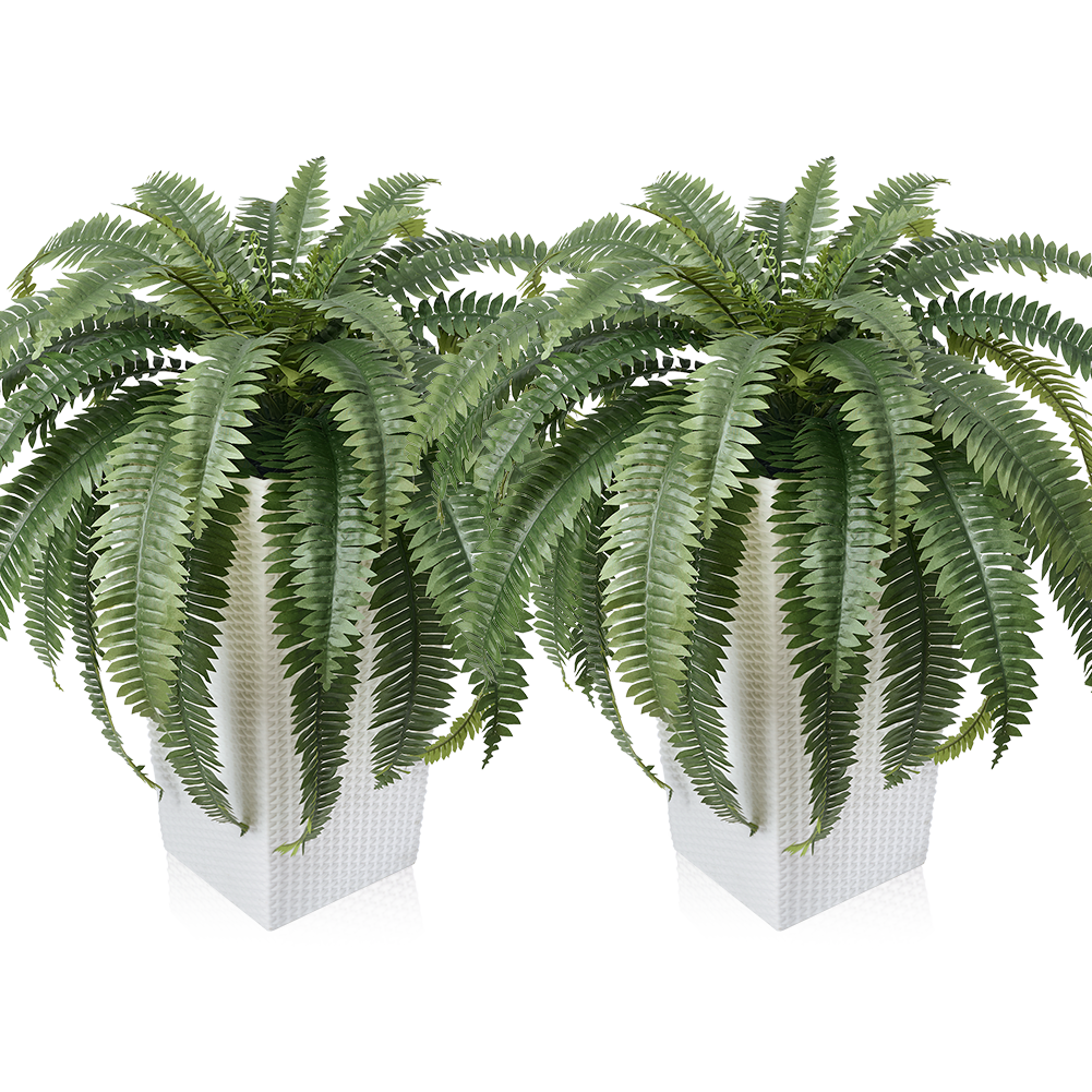 VeriNatural 33/39 Fronds Artificial Boston Fern Bush with Black Taper Planter for Indoor & Outdoor (1/2-Pack)(VN153)