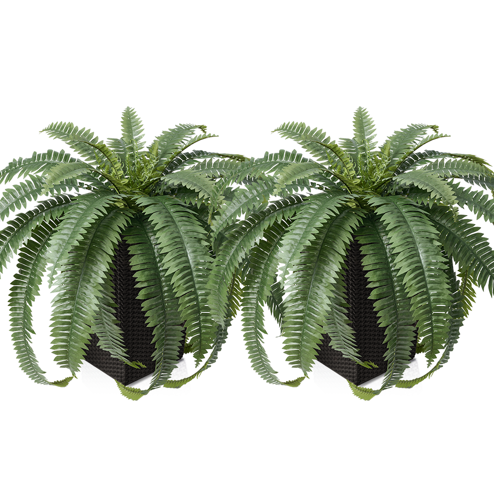 VeriNatural 33/39 Fronds Artificial Boston Fern Bush with Black Taper Planter for Indoor & Outdoor (1/2-Pack)(VN153)