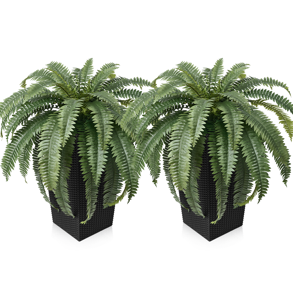 VeriNatural 33/39 Fronds Artificial Boston Fern Bush with Black Taper Planter for Indoor & Outdoor (1/2-Pack)(VN153)