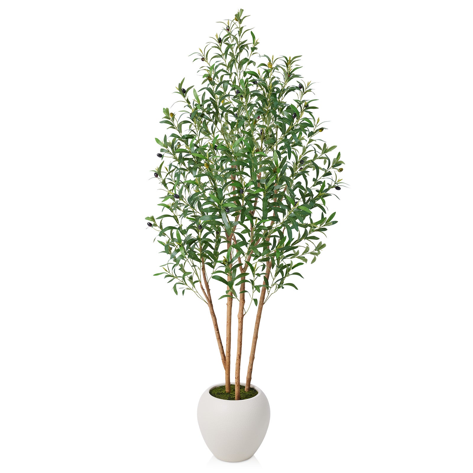 VeriNatural 6/7/8FT Artificial Olive Tree Indoor – Faux Olive Tree with Natural Wood Trunk, Lifelike Fake Plant with White Planter Included, Realistic Artificial Plants for Home, Office & Living Room Decor (VN249)