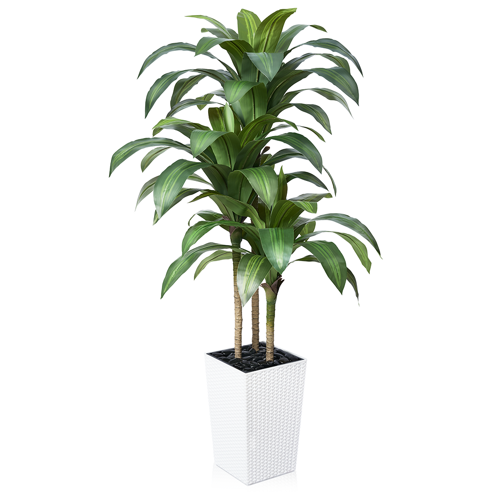 VeriNatural 5/6FT Artificial Dracaena Tree UV Resistant with Black Taper Planter for Indoor & Outdoor (VN127)