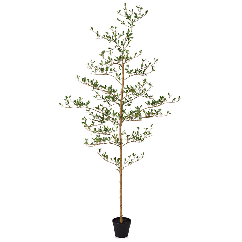 VeriNatural 5/6/7FT Black Olive Tree – Realistic Faux Tree with Natural Trunk & Silk Leaves – Indoor & Outdoor Decor, Low Maintenance, UV Resistant(VN145)