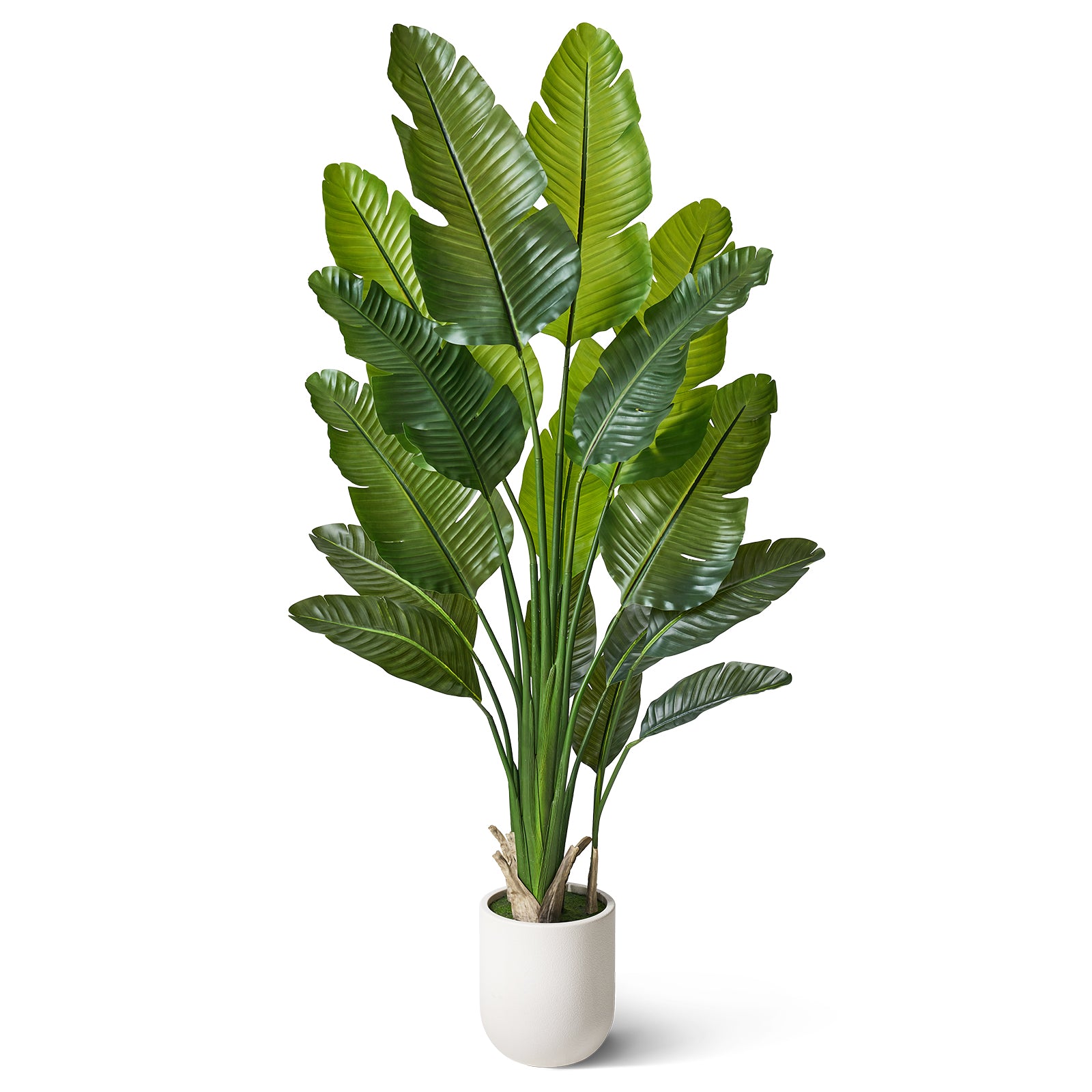 VeriNatural 6/7/8FT Artificial Bird of Paradise Tree Indoor, Large Faux Tropical Palm Plant with Realistic Trunks & White Planter, Tall Fake Palm Tree for Living Room, Office & Home Decor (VN302)