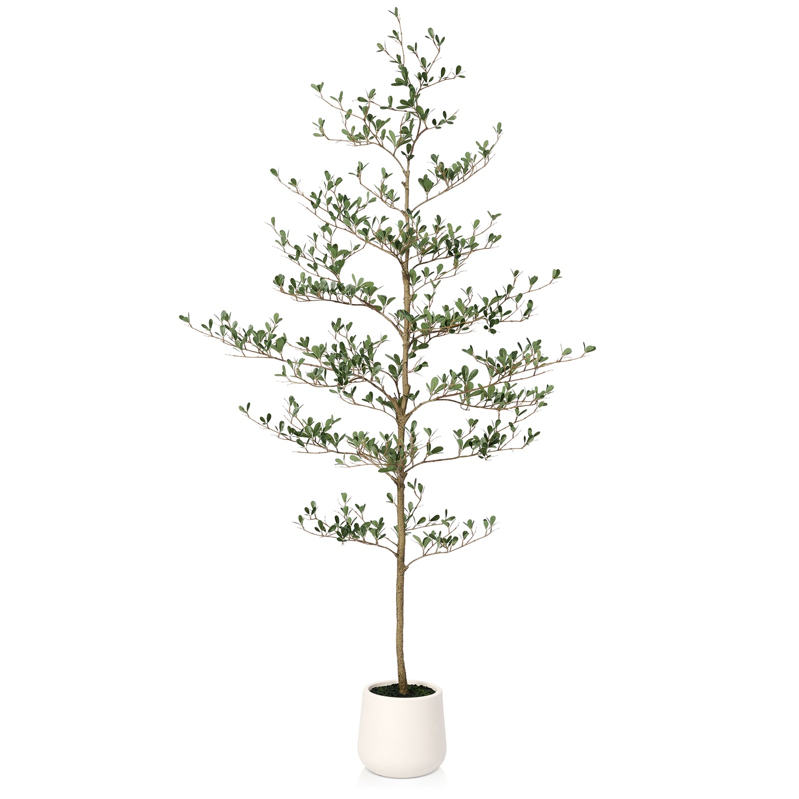 VeriNatural 5/6/7FT Artificial Black Olive Silk Tree UV Resistant with White Planter for Indoor & Outdoor(VN124)