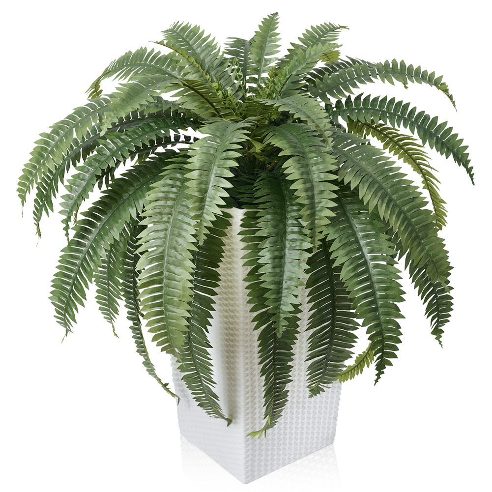 VeriNatural 33/39 Fronds Artificial Boston Fern Bush with Black Taper Planter for Indoor & Outdoor (1/2-Pack)(VN153)