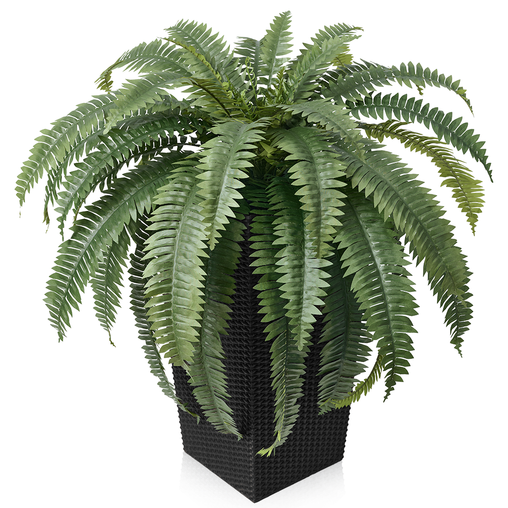VeriNatural 33/39 Fronds Artificial Boston Fern Bush with Black Taper Planter for Indoor & Outdoor (1/2-Pack)(VN153)