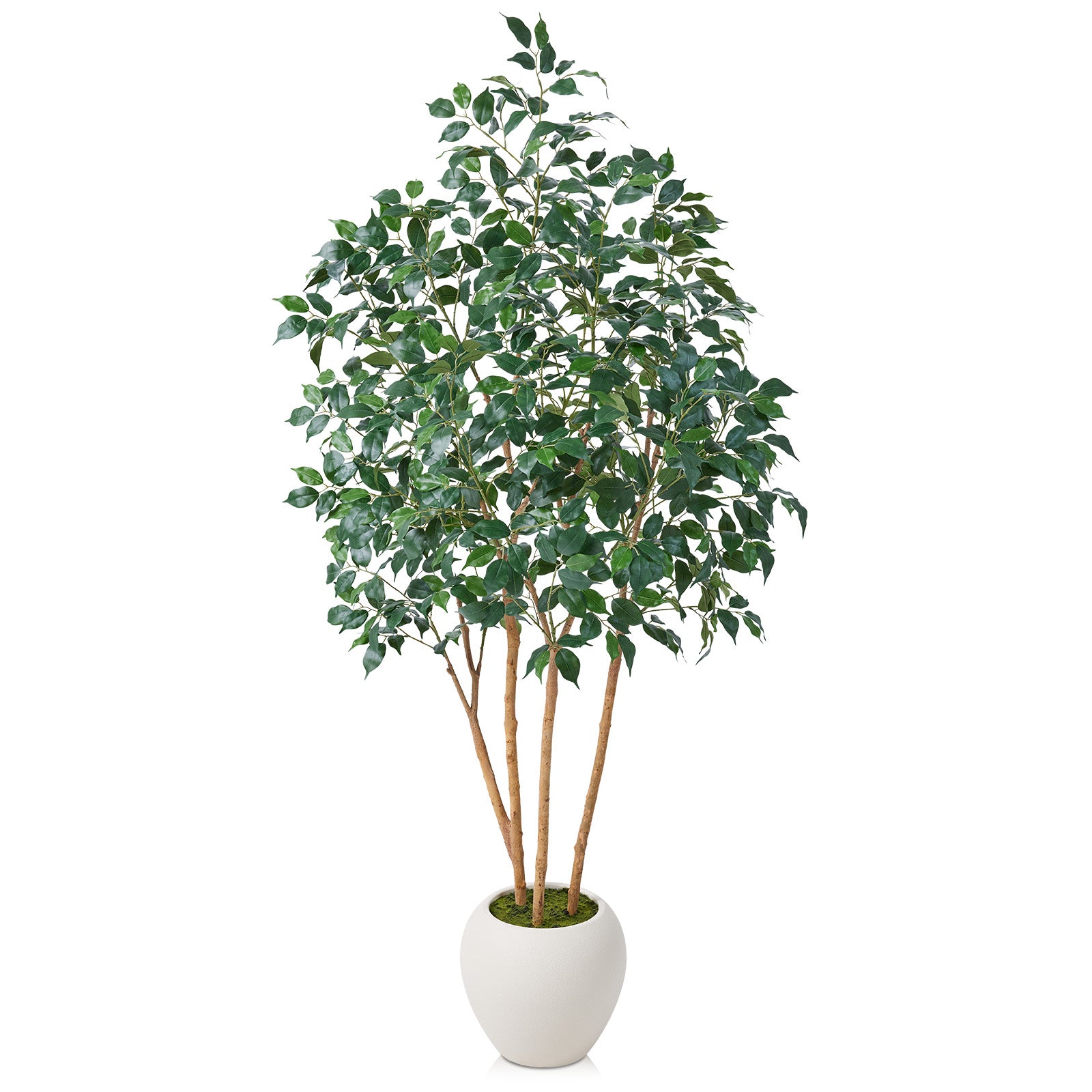 VeriNatural 6/7/8FT Artificial Ficus Tree Indoor – Faux Tree with Natural Wood Trunk, Silk Leaves & White Round Planter Included, Realistic Fake Plant for Home, Office & Living Room Decor (VN255)