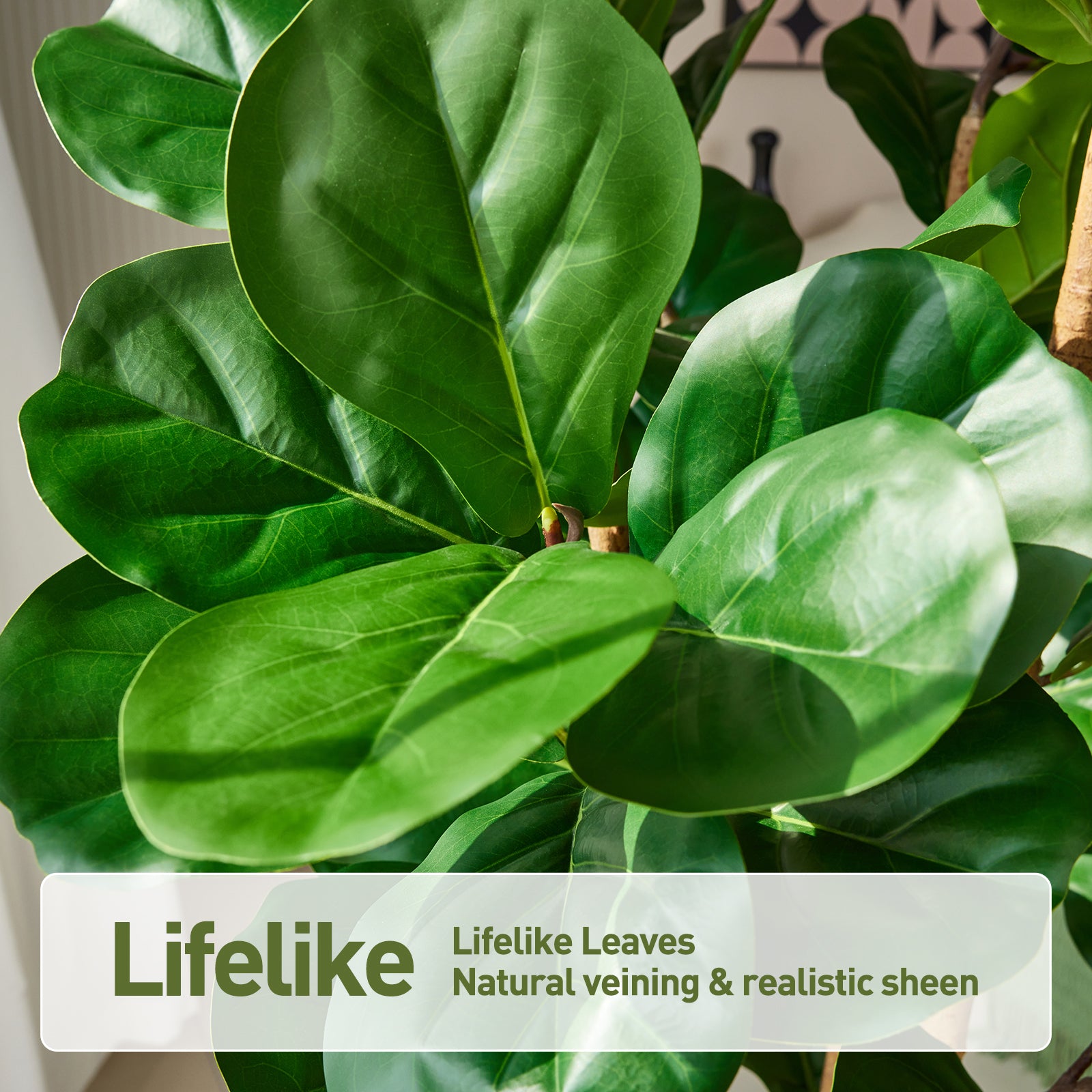 VeriNatural 6/7/8FT Artificial Fiddle Leaf Fig Tree with White Planter โ Tall Faux Tree with 4 Real Wood Trunks & Real Moss, Indoor Decorative Plant for Home, Living Room & Office Decor (VN244)