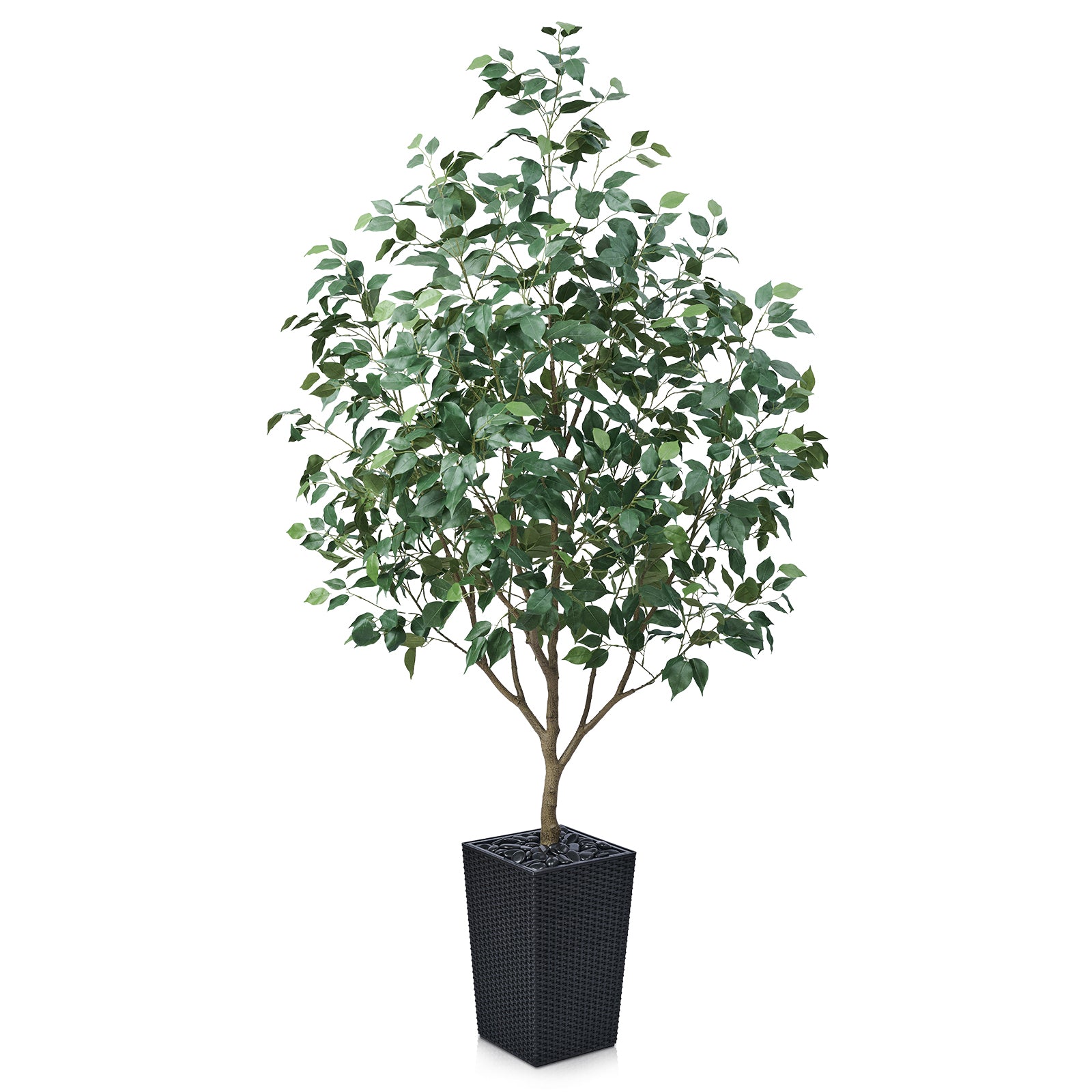 #size_6ft, #color_black