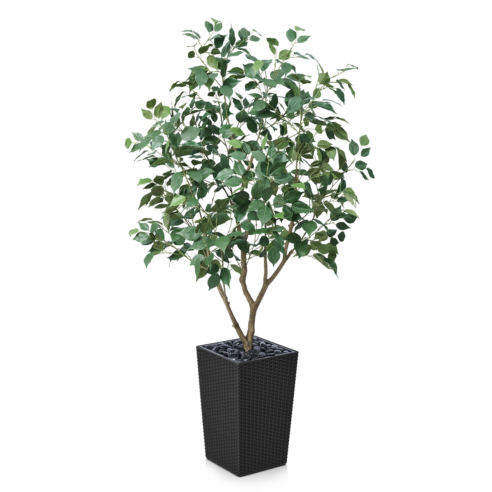 #size_5ft, #color_black