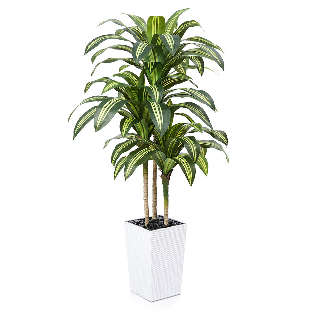 VeriNatural 5/6FT Artificial Dracaena Tree UV Resistant with Black Taper Planter for Indoor & Outdoor (VN127)