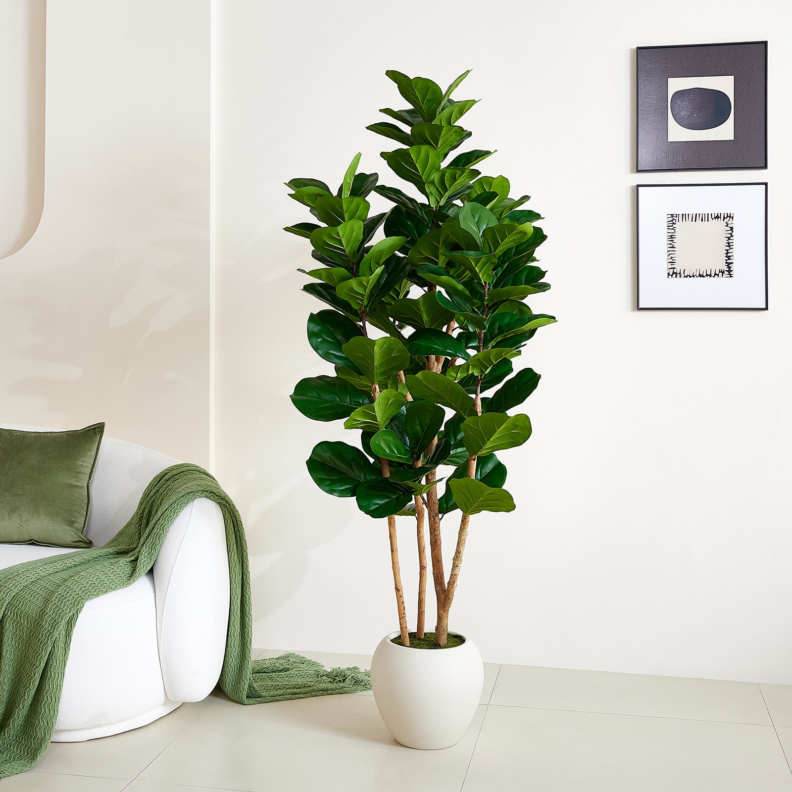 VeriNatural 6/7/8FT Artificial Fiddle Leaf Fig Tree with White Planter โ Tall Faux Tree with 4 Real Wood Trunks & Real Moss, Indoor Decorative Plant for Home, Living Room & Office Decor (VN244)