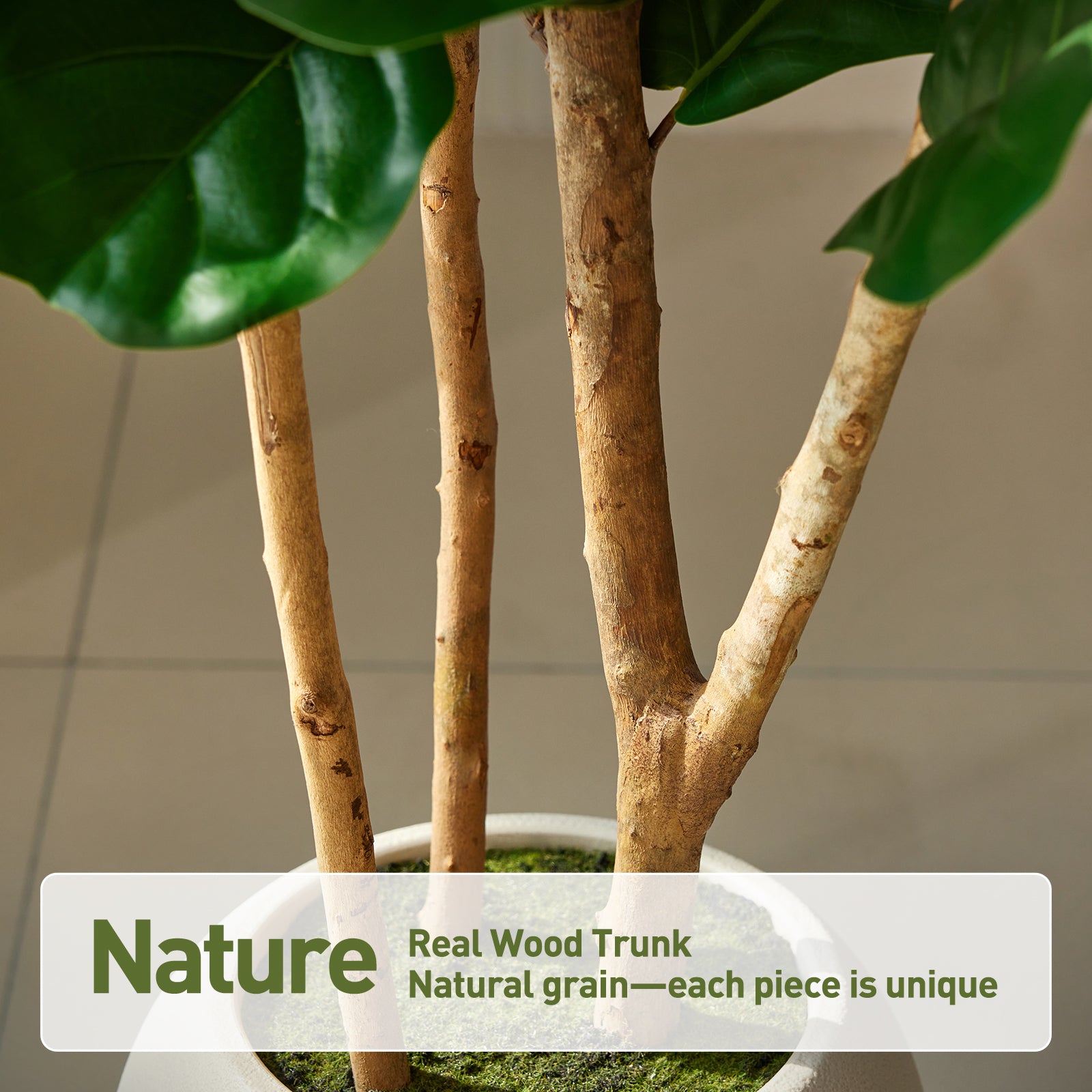 VeriNatural 6/7/8FT Artificial Fiddle Leaf Fig Tree with White Planter – Tall Faux Tree with 4 Real Wood Trunks & Real Moss, Indoor Decorative Plant for Home, Living Room & Office Decor (VN244)