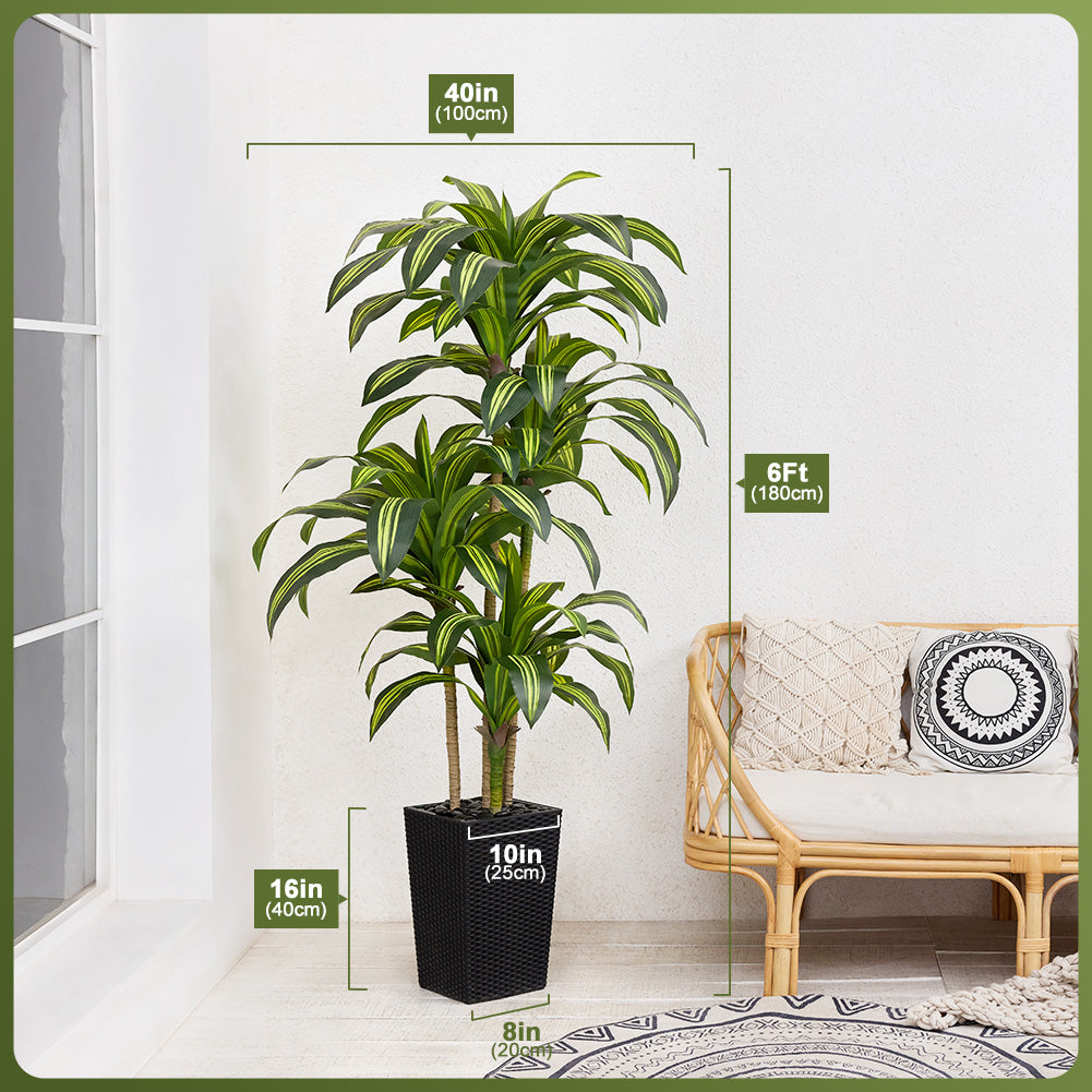 VeriNatural 5/6FT Artificial Dracaena Tree UV Resistant with Black Taper Planter for Indoor & Outdoor (VN127)