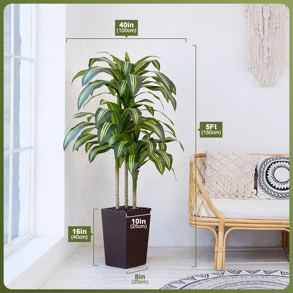 VeriNatural 5/6FT Artificial Dracaena Tree UV Resistant with Black Taper Planter for Indoor & Outdoor(VN127)