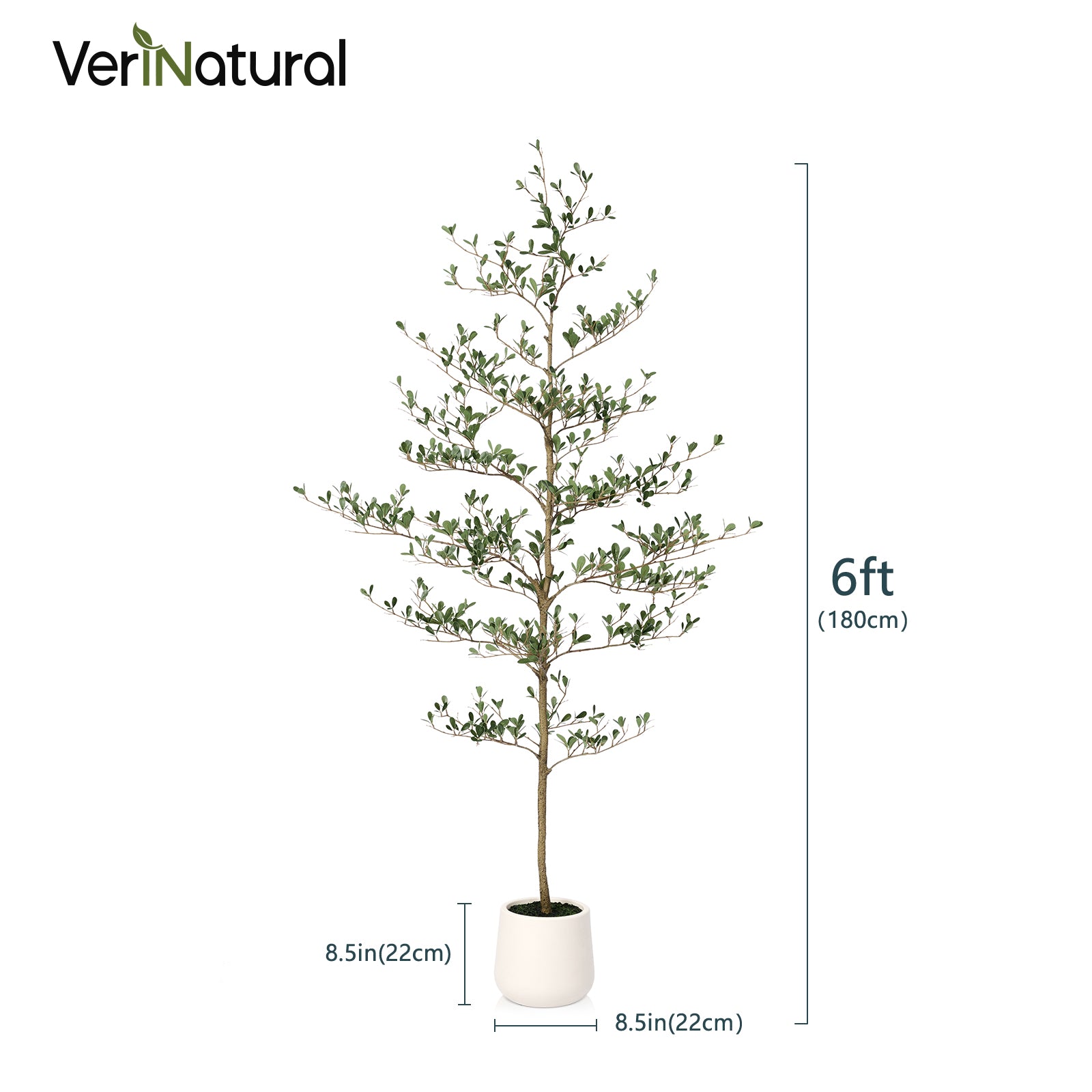 VeriNatural 5/6/7FT Artificial Black Olive Silk Tree UV Resistant with White Planter for Indoor & Outdoor(VN124)