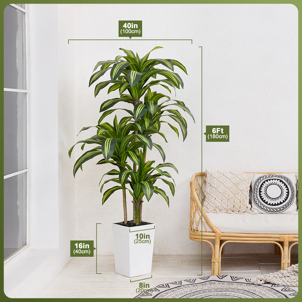 VeriNatural 5/6FT Artificial Dracaena Tree UV Resistant with Black Taper Planter for Indoor & Outdoor (VN127)