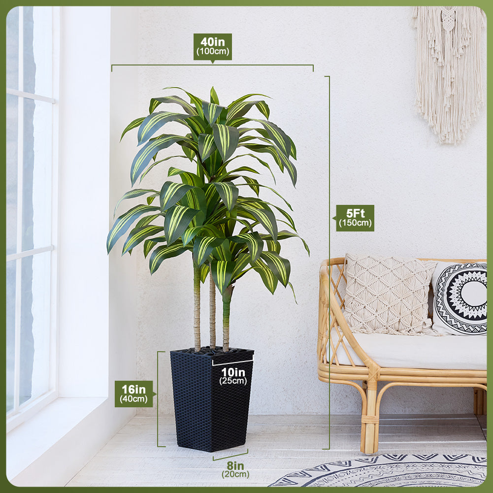 VeriNatural 5/6FT Artificial Dracaena Tree UV Resistant with Black Taper Planter for Indoor & Outdoor(VN127)