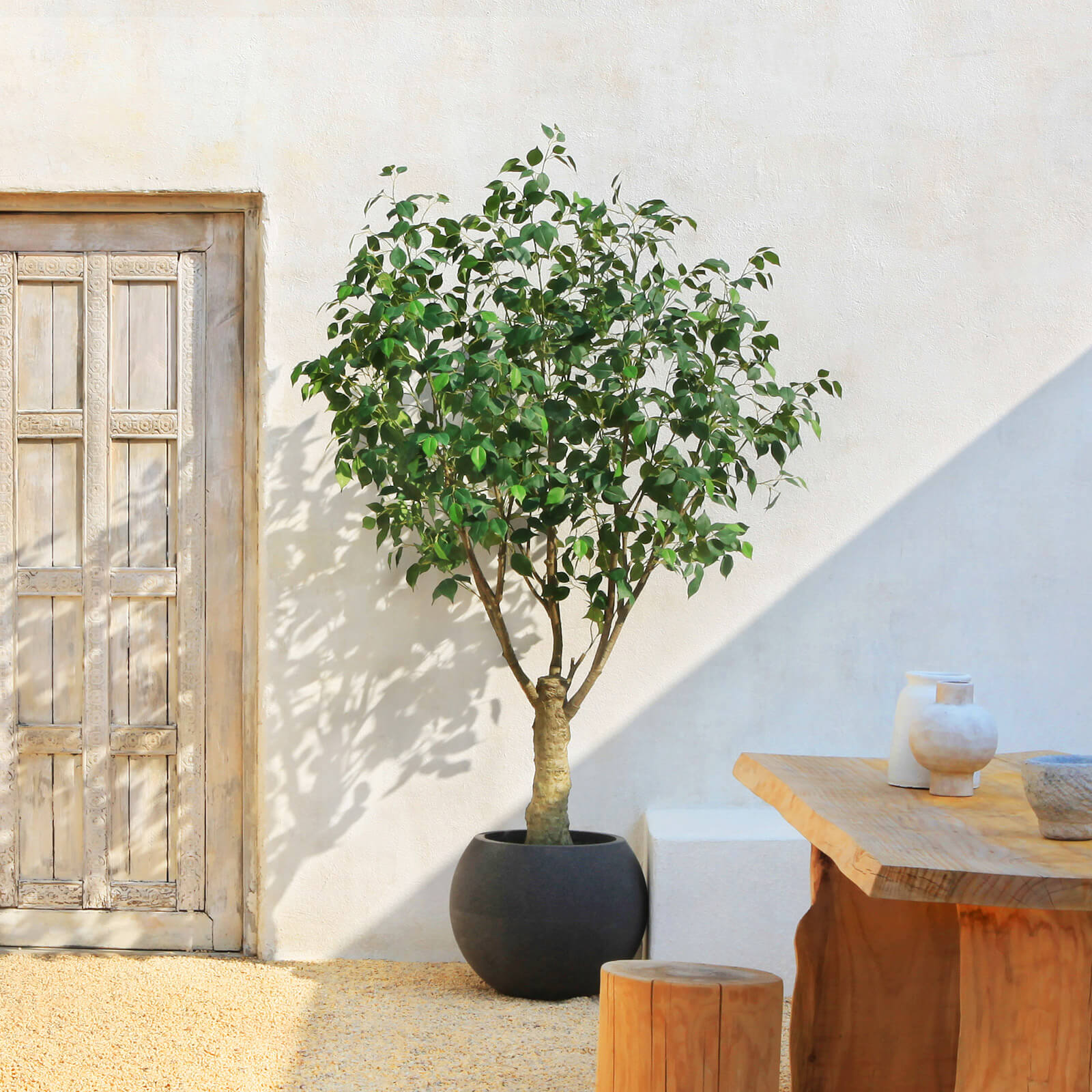 VeriNatural 7FT Artificial Ficus Tree with Gray Oval Planter for Indoor & Outdoor