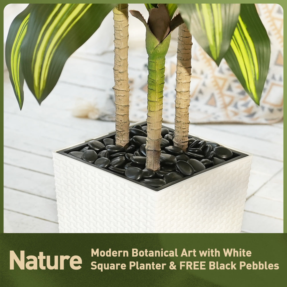 VeriNatural 5/6FT Artificial Dracaena Tree UV Resistant with Black Taper Planter for Indoor & Outdoor (VN127)