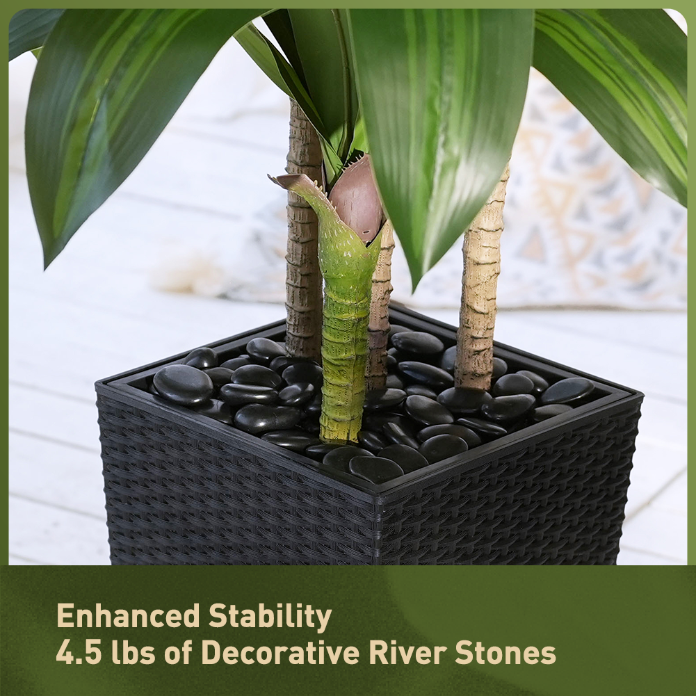 VeriNatural 5/6FT Artificial Dracaena Tree UV Resistant with Black Taper Planter for Indoor & Outdoor (VN127)