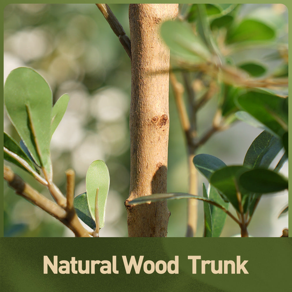 VeriNatural 5/6/7FT Black Olive Tree – Realistic Faux Tree with Natural Trunk & Silk Leaves – Indoor & Outdoor Decor, Low Maintenance, UV Resistant(VN145)