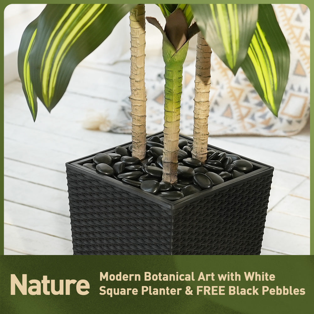 VeriNatural 5/6FT Artificial Dracaena Tree UV Resistant with Black Taper Planter for Indoor & Outdoor(VN127)