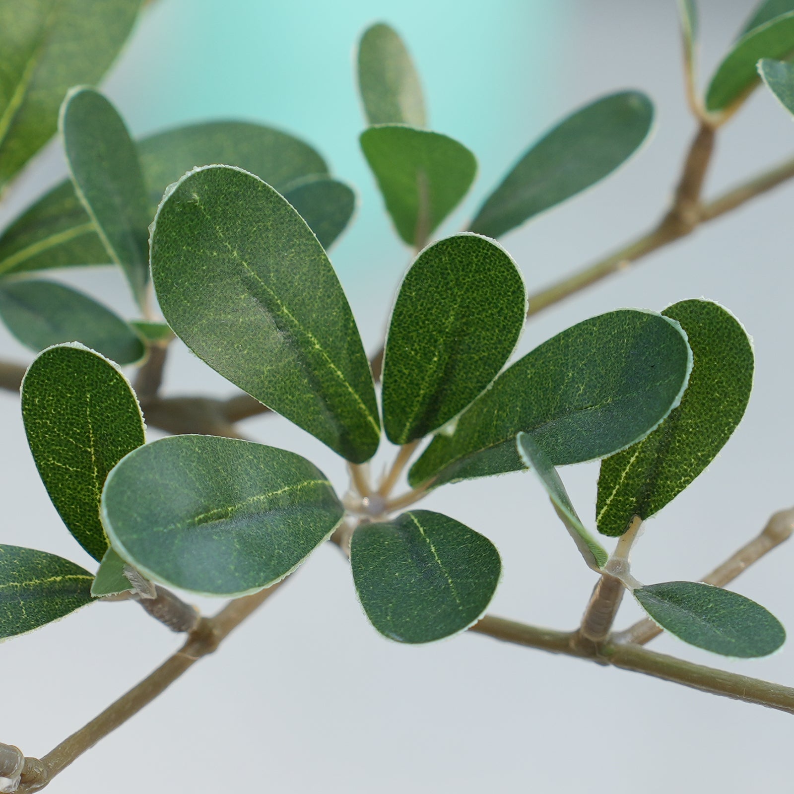 VeriNatural 5/6/7FT Artificial Black Olive Silk Tree UV Resistant with White Planter for Indoor & Outdoor(VN124)