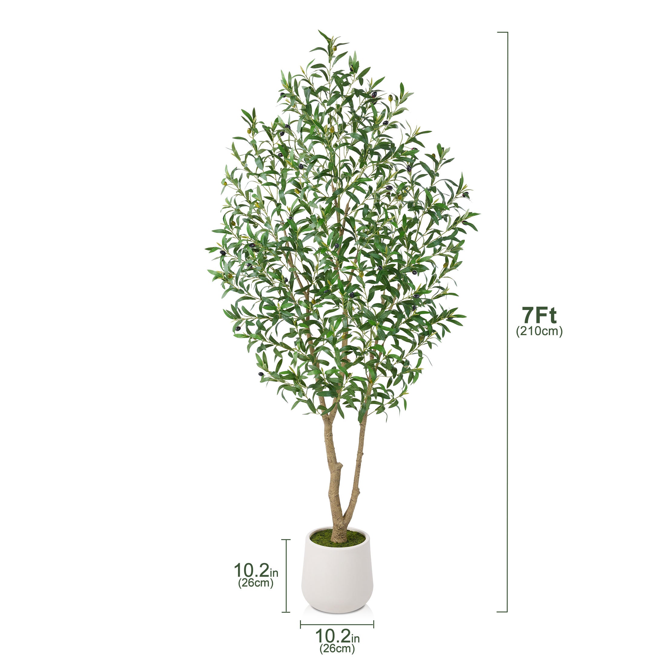 VeriNatural 5/6/7FT Artificial Olive Tree – Realistic Faux Indoor Plant with White Planter, Tall Fake Tree for Home, Office & Living Room Decor(VN256)