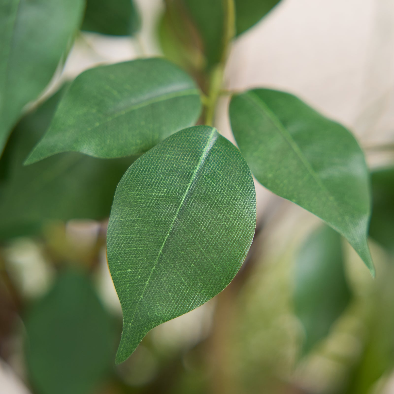 #size_6ft, #color_black