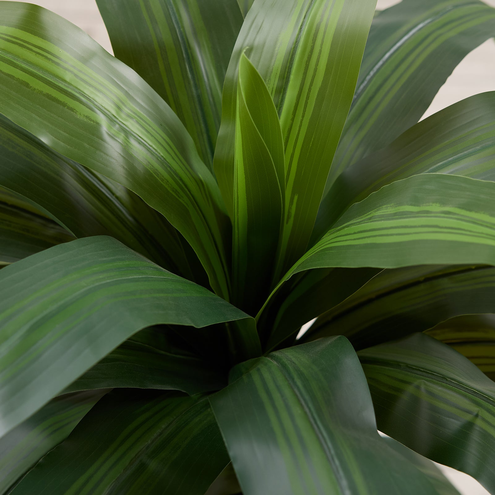 5FT Artificial Dracaena Tree