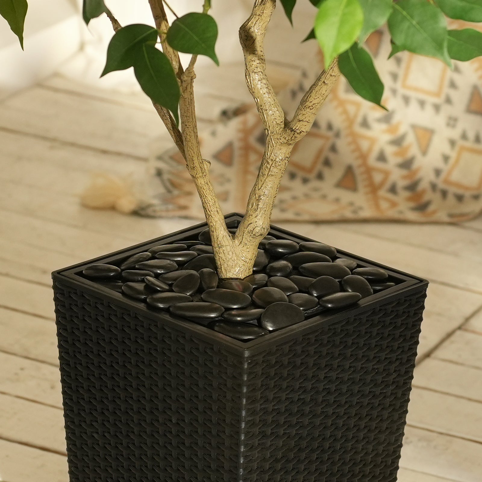 #size_5ft, #color_black