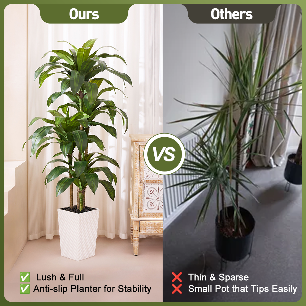 VeriNatural 5/6FT Artificial Dracaena Tree UV Resistant with Black Taper Planter for Indoor & Outdoor (VN127)