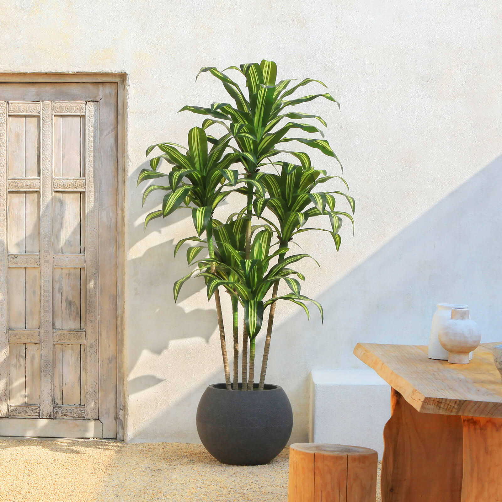 VeriNatural 7FT Artificial Dracaena with Gray Oval Planter for Indoor & Outdoor