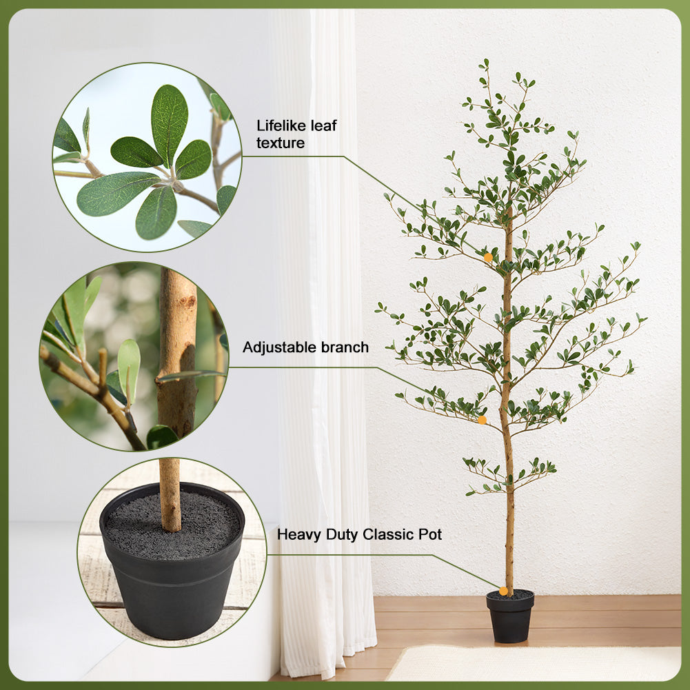 VeriNatural 5/6/7FT Black Olive Tree – Realistic Faux Tree with Natural Trunk & Silk Leaves – Indoor & Outdoor Decor, Low Maintenance, UV Resistant(VN145)