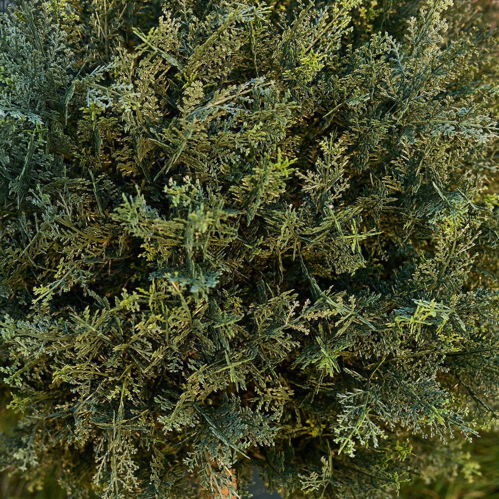 VeriNatural 1-Pack / 2-Pack 20-Inch Artificial Topiary Ball Trees – UV Resistant Faux Cedar & Cypress Evergreen Shrub with 10.6in Twist-On Stake for Outdoor Front Porch, Patio, Garden & Yard Decor
