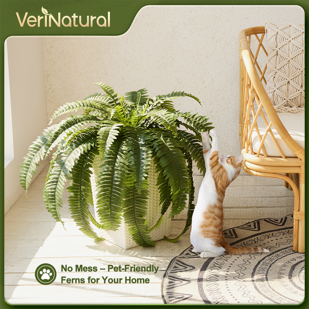 VeriNatural 33/39 Fronds Artificial Boston Fern Bush with Black Taper Planter for Indoor & Outdoor (1/2-Pack)(VN153)