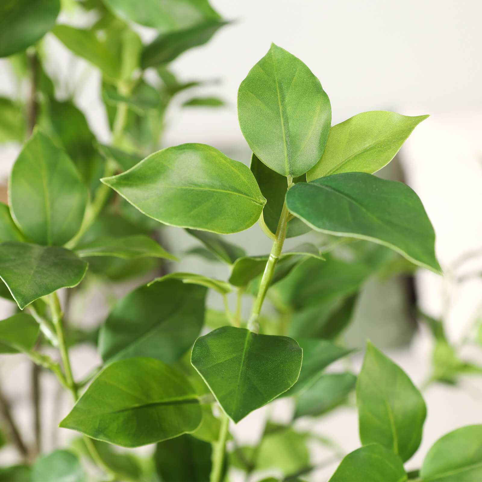 VeriNatural 5/6/7FT Silk Artificial Ficus Tree with White Planter for Indoor