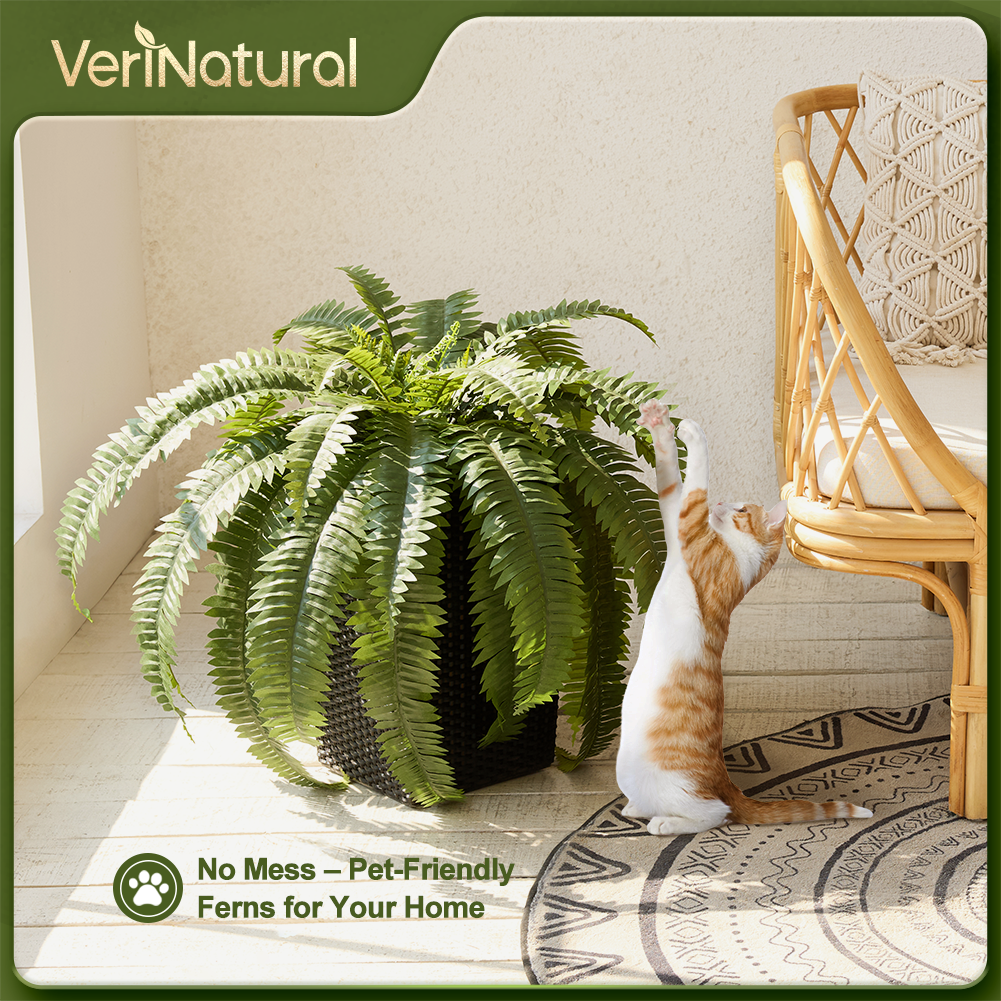 VeriNatural 33/39 Fronds Artificial Boston Fern Bush with Black Taper Planter for Indoor & Outdoor (1/2-Pack)(VN153)