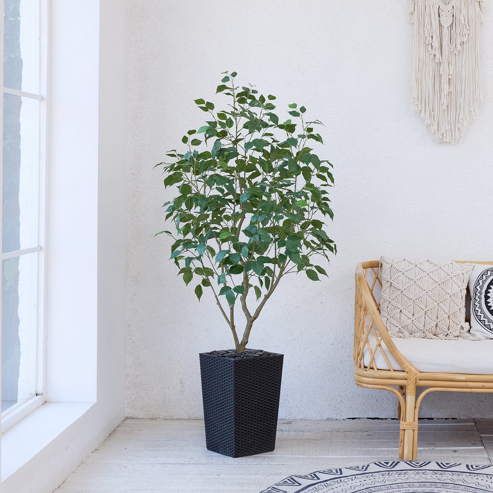 #size_5ft, #color_black