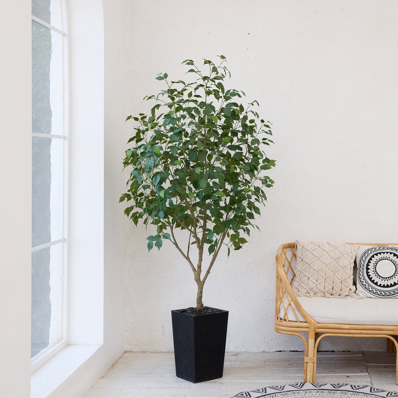 #size_6ft, #color_black