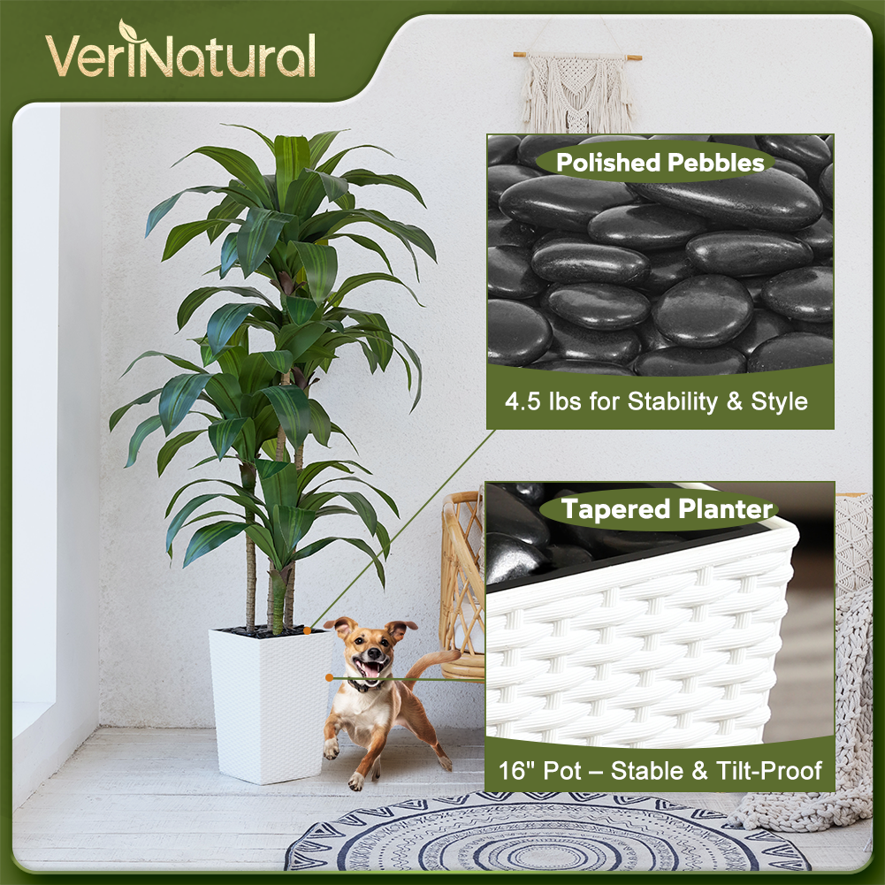 VeriNatural 5/6FT Artificial Dracaena Tree UV Resistant with Black Taper Planter for Indoor & Outdoor (VN127)