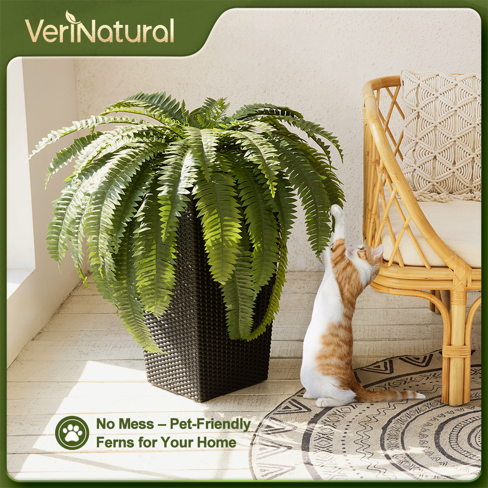 VeriNatural 33/39 Fronds Artificial Boston Fern Bush with Black Taper Planter for Indoor & Outdoor (1/2-Pack)(VN153)