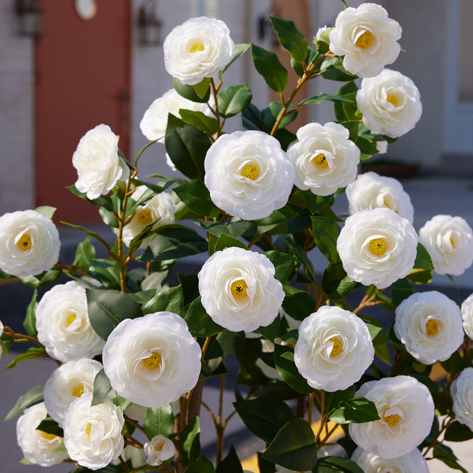 VeriNatural Artificial Camellia Tree – 3 /4ft UV-Resistant Outdoor Silk Flowers, Small Potted Set of 2, Perfect for Tabletop, Porch & Home Decor