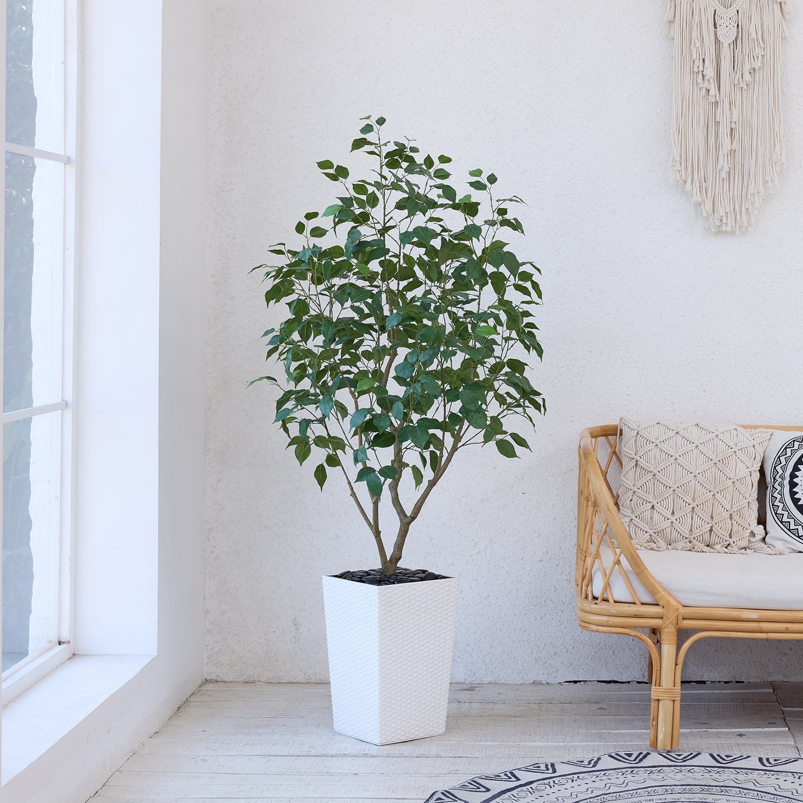 #size_5ft, #color_white