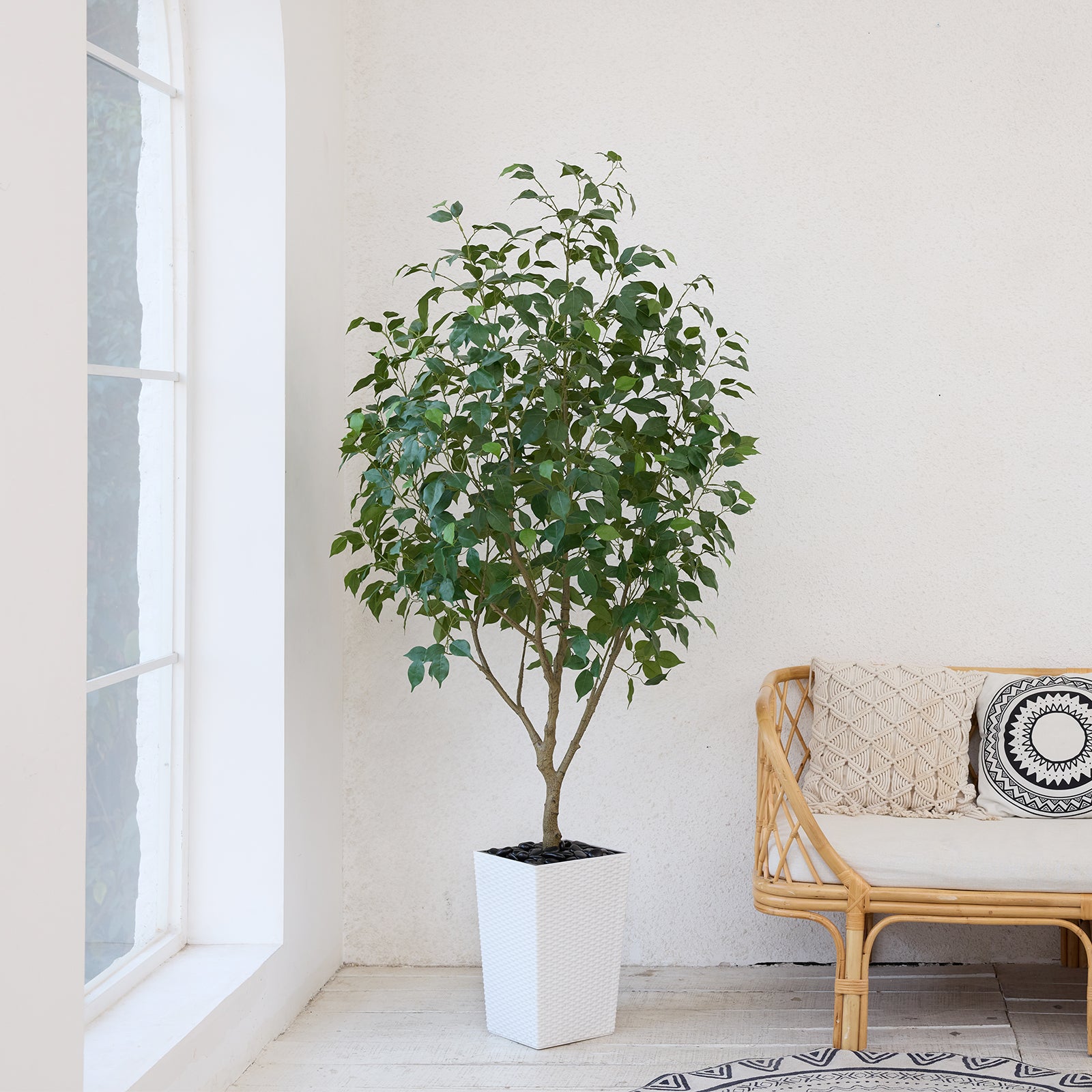 #size_6ft, #color_white