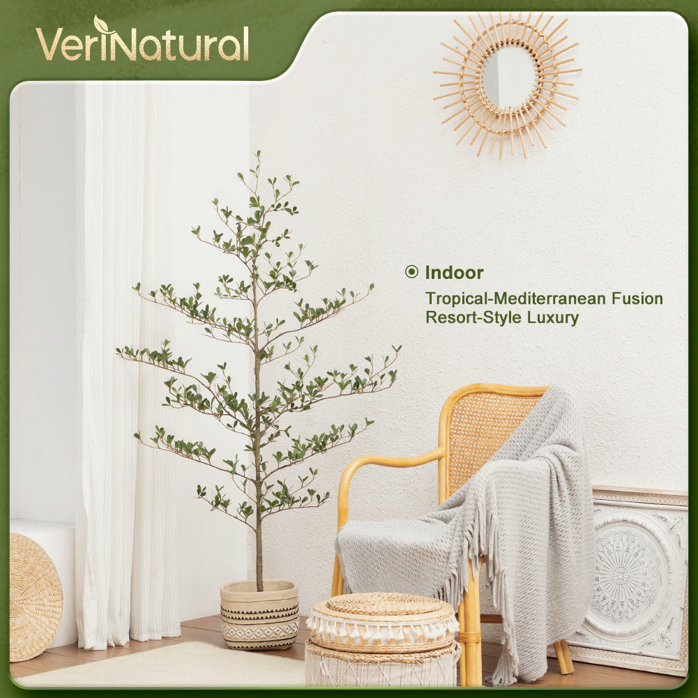 VeriNatural 5/6/7FT Artificial Black Olive Silk Tree UV Resistant with Black Planter for Indoor & Outdoor (VN140)
